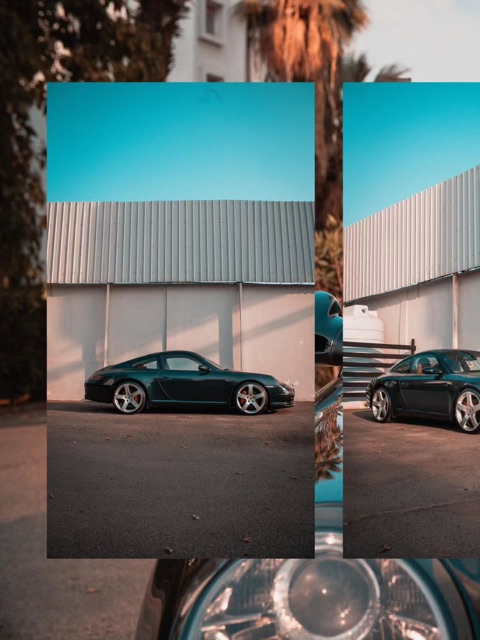 Porsche beneath the palms